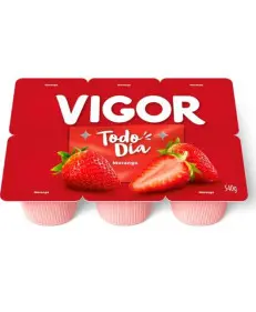 BEBIDA LÁCTEA MORANGO TODO DIA VIGOR 540G