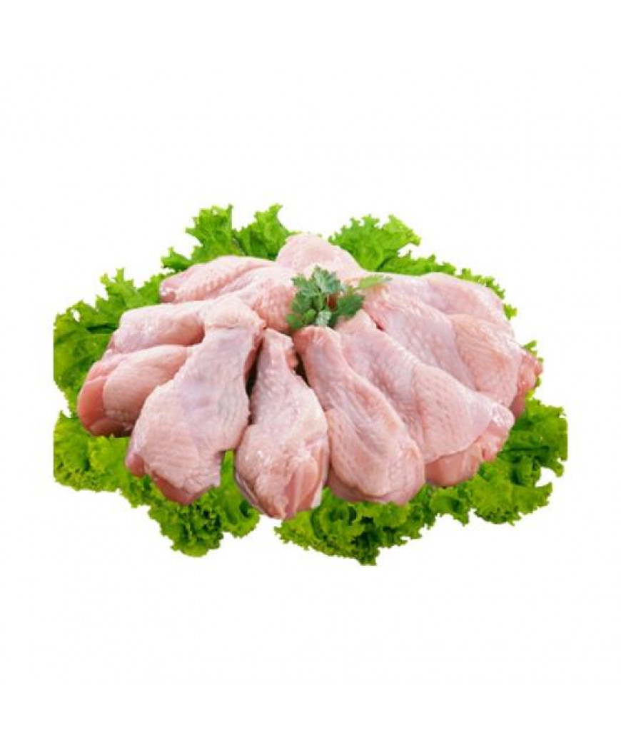COXINHA DA ASA DE FRANGO RESFRIADA KG