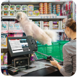 PDV Pet Shop – para Instalação em Hospedagem