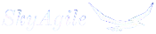 Startup SkyAgile