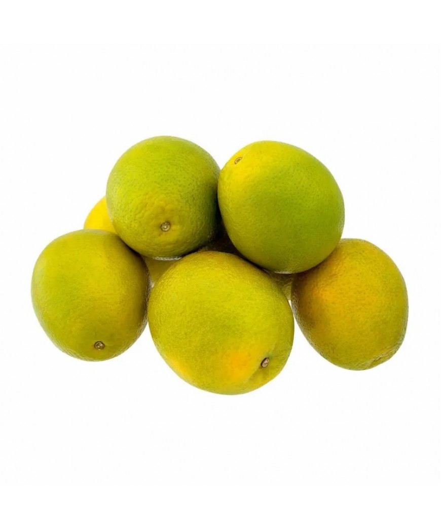 Laranja Pera Rio Kg