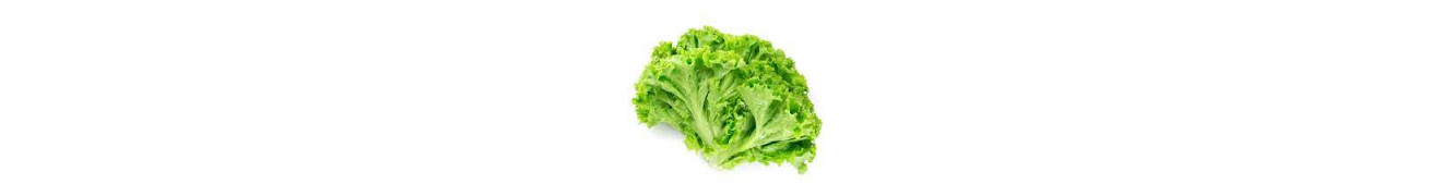 Verduras