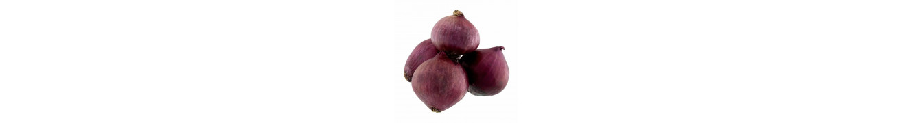 Legumes