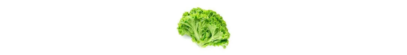 Verduras Verduras